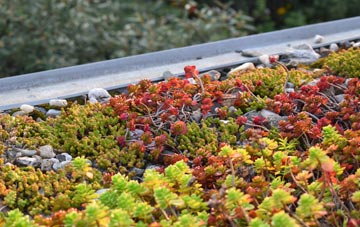 the cost of Dunnsheath green roof installation