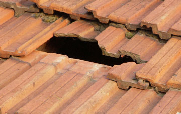 roof repair Dunnsheath, Shropshire